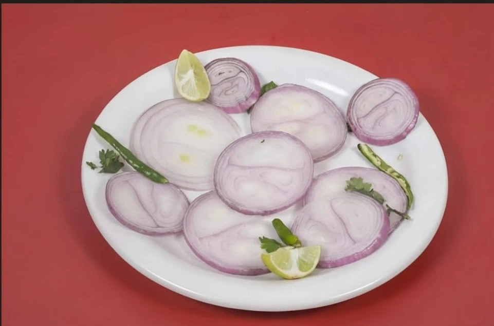 Onion salad at Biryani Box Company Bhilai